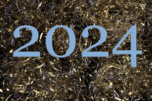 logo voeux 2024