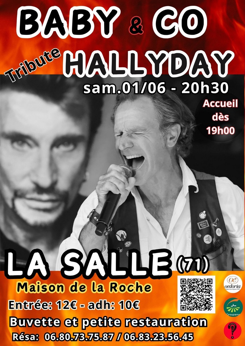 affiche Tribute hallyday